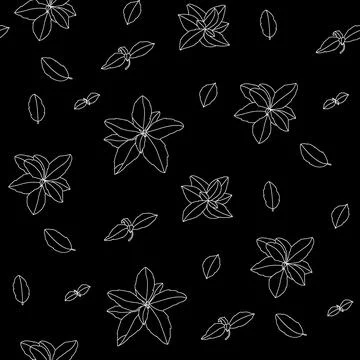 Basil Seamless Pattern. Hand-drawn illustration Stock Illustration