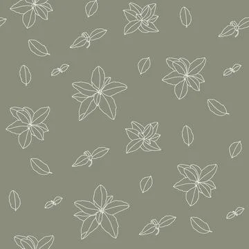 Basil Seamless Pattern. Hand-drawn illustration Stock-Illustration
