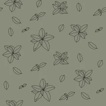 Basil Seamless Pattern. Hand-drawn illustration Stock Illustration
