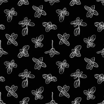Basil Seamless Pattern. Italian herbs Stock Illustration