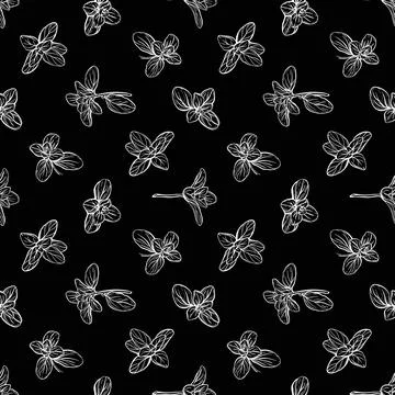 Basil Seamless Pattern. Italian herbs Illustrazione stock