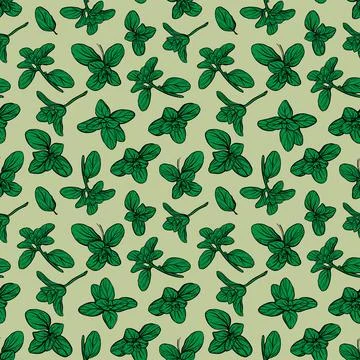Basil Seamless Pattern. Italian herbs. Marjoram pattern. 스톡 일러스트