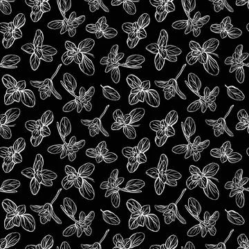 Basil Seamless Pattern. vector illustration Stock Illustration