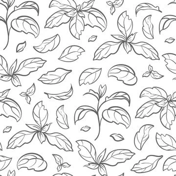 Basil seamless pattern, vector image of isolated leaves. This woodcut style 스톡 일러스트