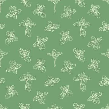 Basil Seamless Pattern.Hand-drawn illustration Stock Illustration