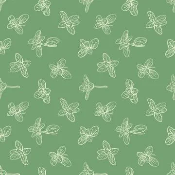 Basil Seamless Pattern.Hand-drawn illustration Illustrazione stock