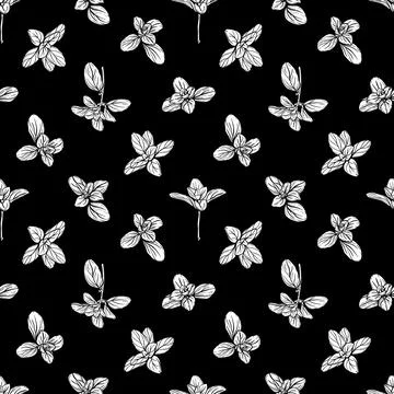 Basil Seamless Pattern.Marjoram pattern. Stock Illustration
