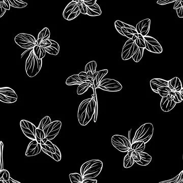 Basil Seamless Pattern.Marjoram pattern. 스톡 일러스트