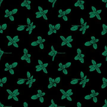 Basil Seamless Pattern.Marjoram pattern 스톡 일러스트