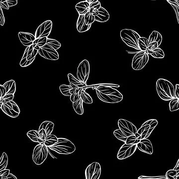 Basil Seamless Pattern.Marjoram pattern. Stock Illustration