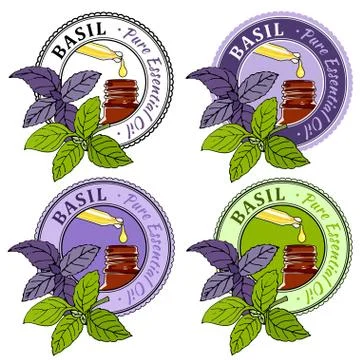 Basil. Set of essential oil labels. Stock Illustration