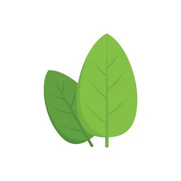 Basil spice icon flat vector. Cooking herb Illustrazione stock