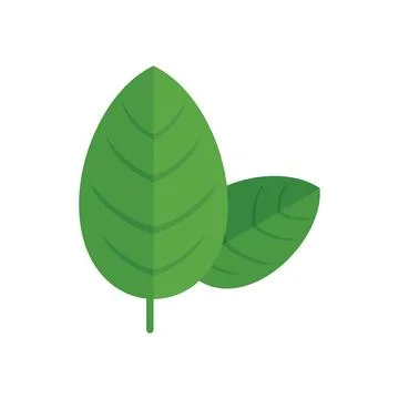 Basil spice leaf icon flat vector. Herb plant Illustrazione stock