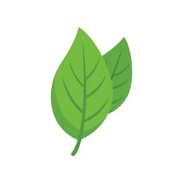 Basil spice plant icon flat vector. Herb leaf Stock Illustration