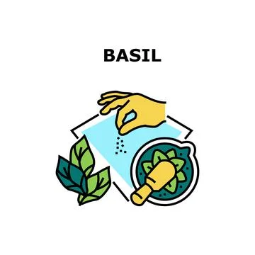 Basil Spice Vector Concept Color Illustration 스톡 일러스트