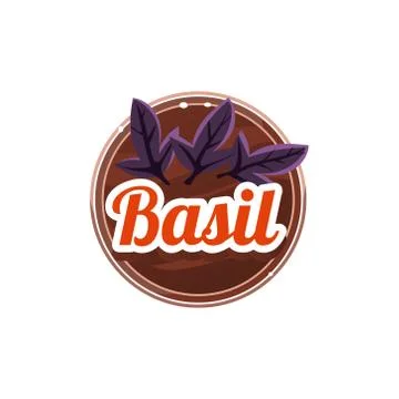 Basil Spice. Vector Illustration Stock Illustration