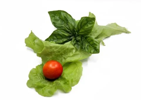 Basil, tomato, and leaf lettuce Stock Photos