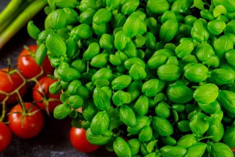 Basil with tomatoes on dark background. Top view, close up. Stock Photos