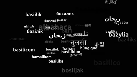 Basil Translated in 58 Worldwide Languages Endless Looping 3d Zooming Wordclo Video stock 145208815