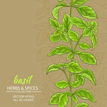 Basil vector background Stock Illustration