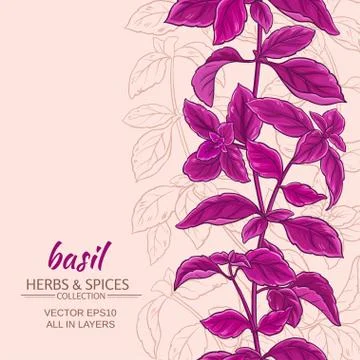 Basil vector background Ilustración de archivo