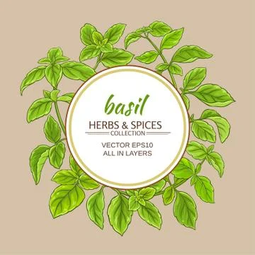 Basil vector frame Ilustración de archivo