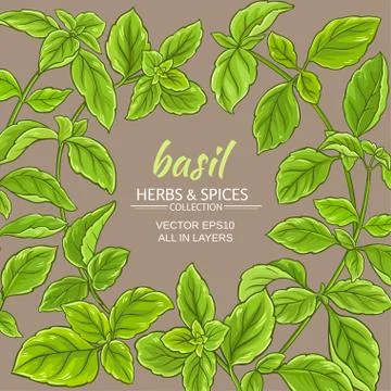 Basil vector frame Stock Illustration