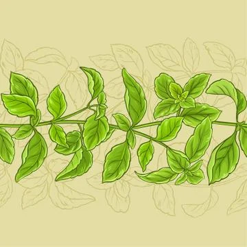 Basil vector pattern Stock Illustration
