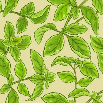Basil vector pattern Stock Illustration