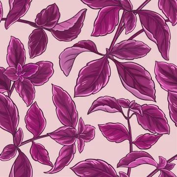 Basil vector pattern Stock Illustration