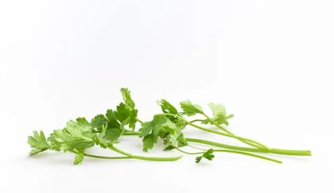 Basil on white background Foto stock