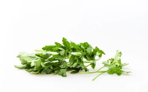 Basil on white background Stock Photos