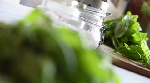 Basilic leaf Stock Footage 51162348