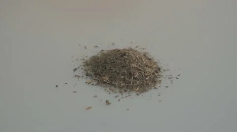 Basilica. Herb spices. Stock Footage 43240691