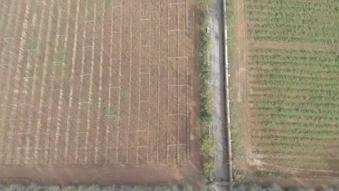 Basilicata, crops Stock Footage 259649287