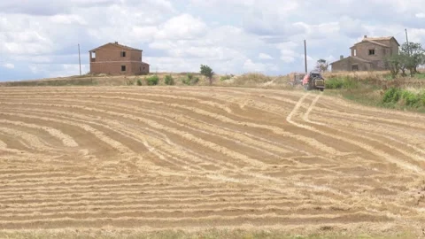 Basilicata, tractor in a wheat of field Stock Footage 133943047