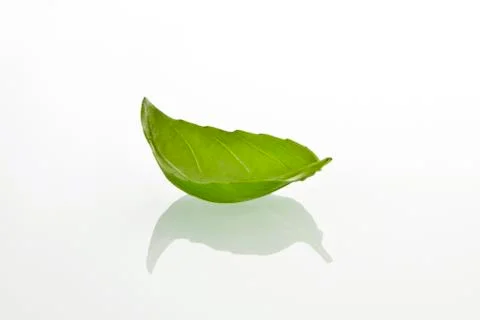 Basilicum leaf Stock Photos
