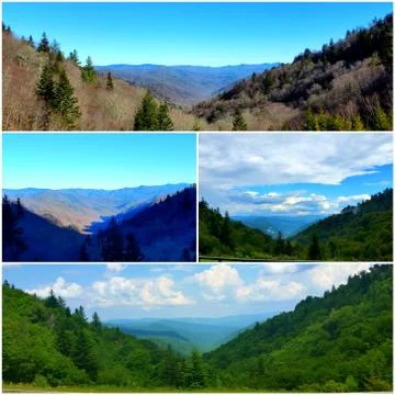Basil's Overlook Collage (21) Stock Photos