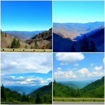 Basil's Overlook Collage (22) Stock Photos