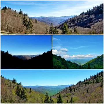 Basil's Overlook Collage (23) Stock Photos