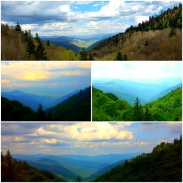 Basil's Overlook Collage (7) Stock Photos