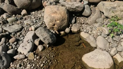 A basin on the edge of a clear mountain river Video stock 321846497