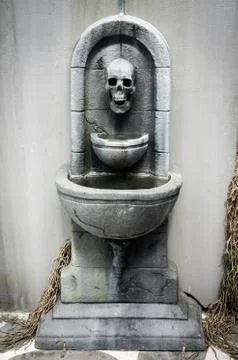 Basin skull Stock Photos