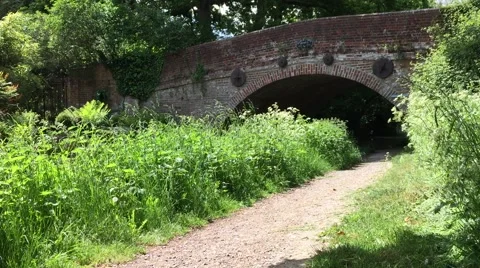 Basingstoke canal Stock Footage 50455744