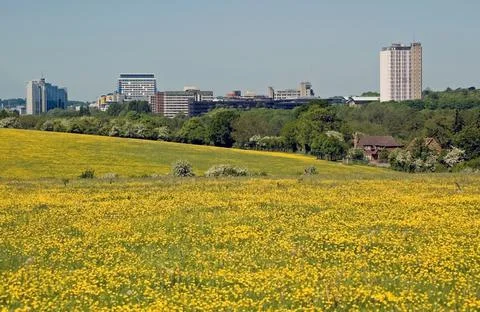 Basingstoke offices viewed from Old Basing Common Stock Photos