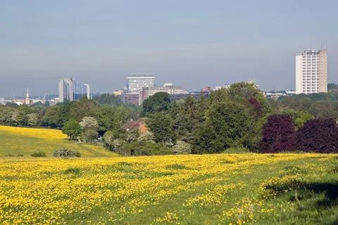 Basingstoke Skyline from Old Basing Common Stock Photos