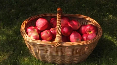 Basket with apples Stock Footage 8558820