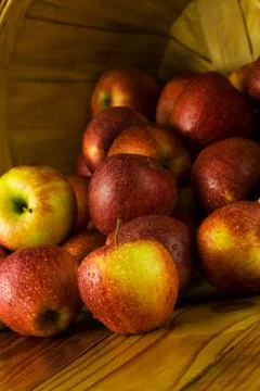 Basket of Apples Stock Photos