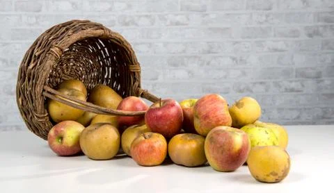 Basket of apples spilled on the table Stock Photos