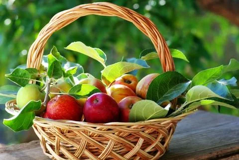 Basket of apples on table Stock Photos